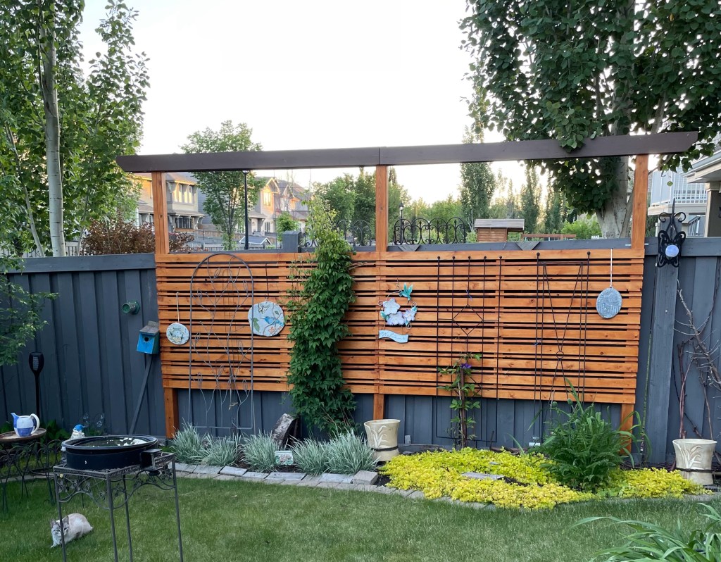 Project 2 Clematis&nbsp;Trellis